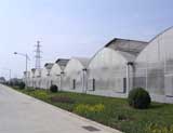 Large scale agriculture greenhouse 5