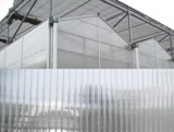 Large scale agriculture greenhouse 1