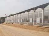 Large scale agriculture greenhouse 3